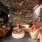 A home that feels like a retreat.